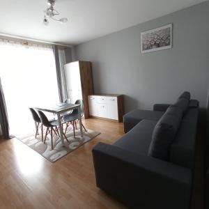a living room with a couch and a table at Apartament Dunikowskiego 57m2 in Lublin