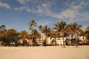 a group of palm trees on the beach at NEW Amazing large 3BR direct oceanfront Penthouse On Ocean Drive!! in Miami Beach