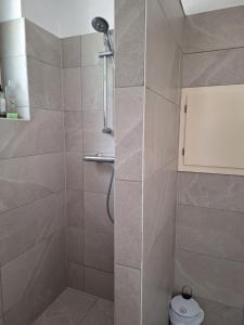 a bathroom with a shower with a toilet at B&B Dersum Dream in Dersum