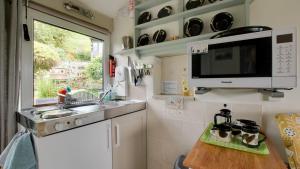 una pequeña cocina con fregadero y microondas en The Potting Shed, en Longnor