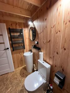 a bathroom with a toilet and a wooden wall at Domek Stodoła Całoroczny in Chojno