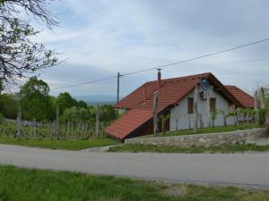 ein kleines Haus mit rotem Dach an der Straßenseite in der Unterkunft Vineyard cottage Mavrica in Dragatuš