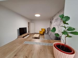 a living room with a couch and a plant in a pot at Askade Residence Self Check-in in Bucharest