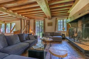 a living room with a couch and a fireplace at Gîtes les Muids - Les "Oiseaux" et la "Ferme" in Brinon-sur-Sauldre