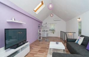 a living room with a couch and a tv at Holiday Home Marijeta in Škrip