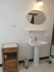a bathroom with a sink and a mirror on the wall at Le Moole Veld in Steenbecque