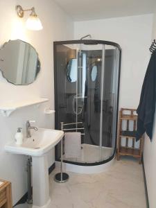 a bathroom with a shower and a sink at Le Moole Veld in Steenbecque