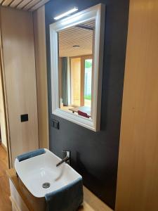 ein Badezimmer mit einem weißen Waschbecken und einem Spiegel in der Unterkunft Tiny House Brunn am Gebirge in Brunn am Gebirge