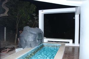 a pool with a rock next to a swimming pool at Ashine villa in Alībāg