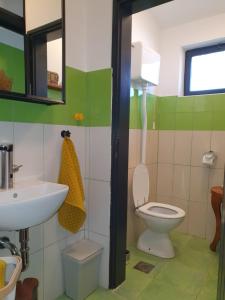 y baño con aseo y lavamanos. en Apartment with Terrace Nona Pavla en Tolmin