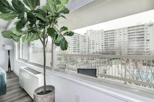 a plant in a white room with a large window at Urban Charm: 2BR Modern Retreat Close to Downtown in Arlington