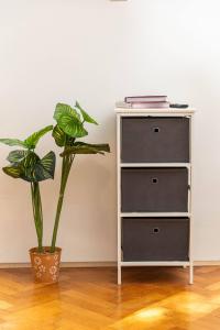 Fotografie z fotogalerie ubytování Placa apartment v Dubrovníku