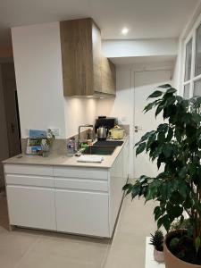 a kitchen with white cabinets and a potted plant at Chambre Douche WC privés - calme - terrasse in Saint-Germain-en-Laye