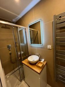 a bathroom with a sink and a shower at Chambre Douche WC privés - calme - terrasse in Saint-Germain-en-Laye