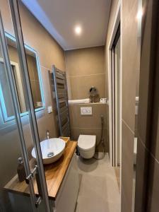a small bathroom with a toilet and a sink at Chambre Douche WC privés - calme - terrasse in Saint-Germain-en-Laye