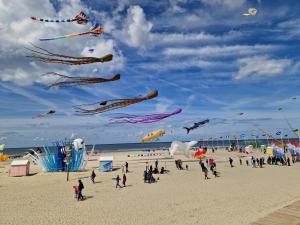 un grupo de personas volando cometas en la playa en Maisonnette à 200m de la plage avec parking gratuit en Berck-sur-Mer