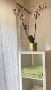 ein weißes Regal mit einer Topfpflanze drauf. in der Unterkunft Chambre Chants d'oiseaux in Brüssel