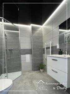 a bathroom with a shower and a sink and a toilet at Restauracja & Bar u Dudy in Chrząstowice