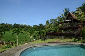 Zahrada ubytování Bali Lush