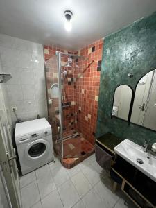 a bathroom with a shower and a washing machine at Chambre artistique entre Disneyland et Paris in Neuilly-sur-Marne