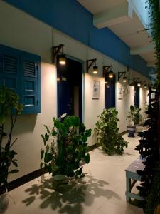 a group of potted plants in a hallway at Assam Home Hostel Project in Guwahati