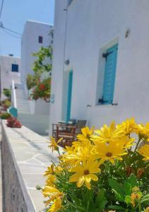 a bunch of yellow flowers in front of a building at Seascape, apartment with sea view 2 in Áno Meriá
