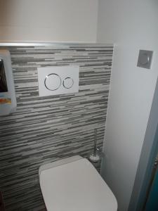 La salle de bains est pourvue de toilettes avec deux anneaux sur le mur. dans l'établissement Hôtel de la Grotte, à Aix-les-Bains