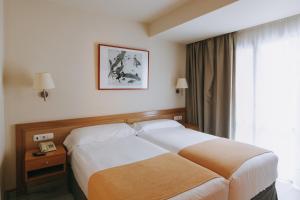 a hotel room with a bed and a window at Hotel Zaragoza Plaza in Donostia-San Sebastián