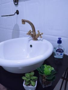 a white sink with a faucet and two plants at Be Our Guest Near OR TAMBO International Airport Room 2 in Boksburg