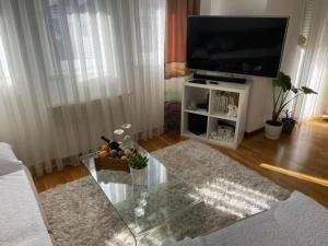 Televisor o centre d'entreteniment de Apartman Ares