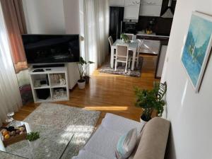 Televisor o centre d'entreteniment de Apartman Ares