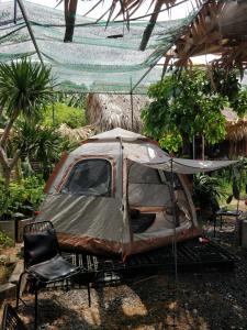 Une vieille voiture est assise sous une tente dans l'établissement Cactos Bar & Homestay, à Hô-Chi-Minh-Ville