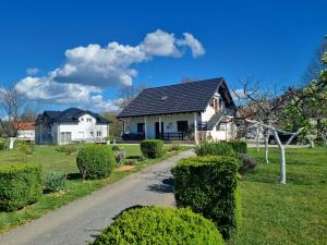 a house with a black roof and a driveway at Apartment Rosandić in Smoljanac