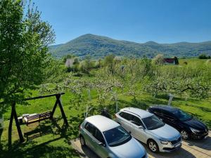 two cars parked in a parking lot with mountains in the background at Apartment Rosandić in Smoljanac