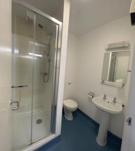 La salle de bains est pourvue d'une douche, de toilettes et d'un lavabo. dans l'établissement Dromroe Village University of Limerick, à Limerick
