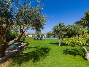 a park with trees and a bench in the grass at Villa with Pool and sea views in Banana Plantation in Arucas