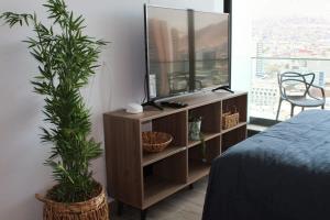 a bedroom with a dresser with a mirror and a plant at HOM I Hermoso Estudio, Estacionamiento PNB 2017 in Antofagasta