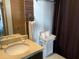 La salle de bains est pourvue d'un lavabo et d'une douche. dans l'établissement 6PAX Edificio Valle Cóndores SKI OUT Valle Nevado Servicio HOM, à Santiago