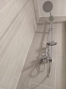 y baño con ducha. en Cómodo Depto Nuevo en la Mejor Zona de Pto Varas Servicio HOM, en Puerto Varas