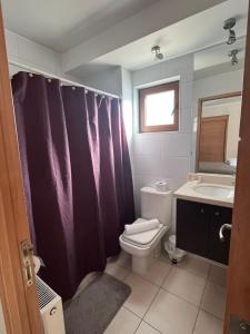 a bathroom with a purple shower curtain and a toilet at Estudio Edif valle Cóndores en valle Nevado SKIOUT Servicio HOM in Lo Barnechea