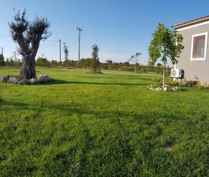 a green yard with a tree and a house at Adayel Bagevi & Butik Otel in Bozcaada