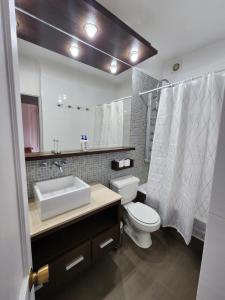 a bathroom with a sink and a toilet and a shower at Edif Mirador del Inca Espectacular Loft En Valle Nevado 10PAX Piscina in Lo Barnechea