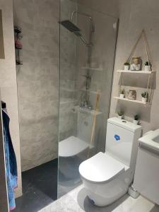 Appartement luxueuse في الناظور: حمام مع مرحاض ودش زجاجي