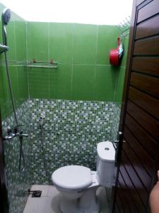 a green bathroom with a toilet and a shower at BOTANIA HOMESTAY BATAM in Nongsa
