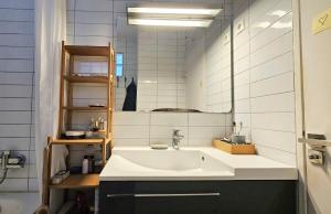 ein Bad mit einem Waschbecken und einem Spiegel in der Unterkunft Big & calm familial apartment with balcony, car parking and free wifi in Villejuif