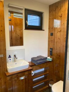 a bathroom with a sink and a mirror at Tiny House im Seecontainer mit Parkplatz, Glasfaser, Netflix, Veranda und gehobener Ausstattung in Coburg