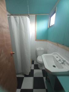 a bathroom with a white toilet and a sink at hostal Coñaripe in Panguipulli