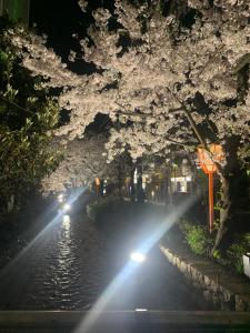 Κήπος έξω από το 四条ホテル +4 φωτογραφίες