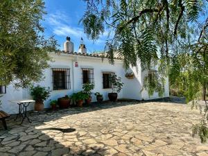 Ogród w obiekcie La Mejorana Refugio andaluz con piscina entre olivos