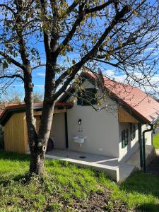 a garage with a tree in front of it at Die Presserei- Kellerstöckl in Moschendorf